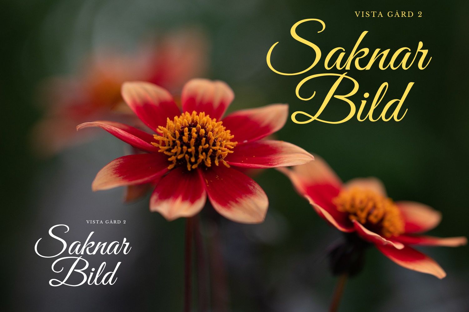 vistagard2_saknarbild